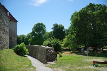 Viikingilaager Vanalinna päevadel