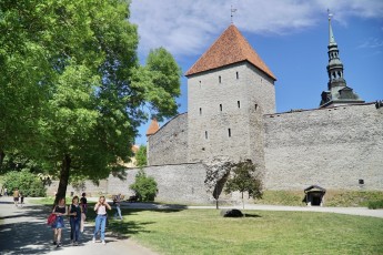 Viikingilaager Vanalinna päevadel