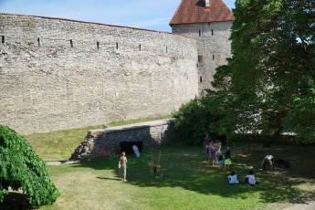 Viikingilaager Vanalinna päevadel