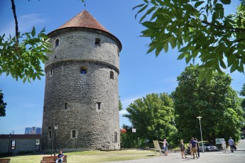 Viikingilaager Vanalinna päevadel