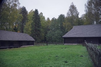 Piiriveere sibula ja kala päev 2018