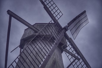 Piiriveere sibula ja kala päev 2018