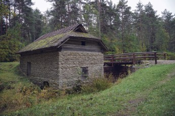 Piiriveere sibula ja kala päev 2018