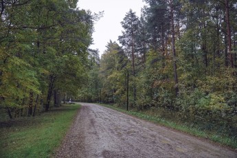 Piiriveere sibula ja kala päev 2018