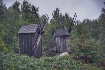 Piiriveere sibula ja kala päev 2018