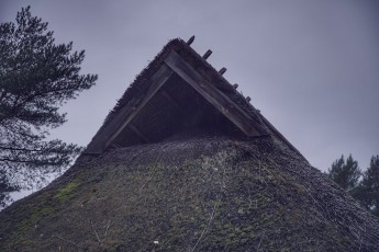 Piiriveere sibula ja kala päev 2018