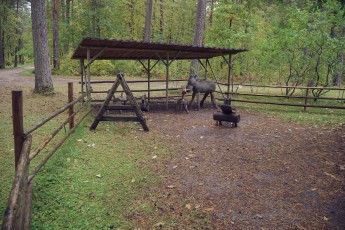 Piiriveere sibula ja kala päev 2018