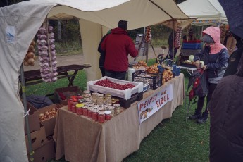 Piiriveere sibula ja kala päev 2018