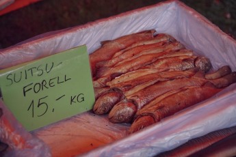 Piiriveere sibula ja kala päev 2018