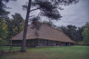 Piiriveere sibula ja kala päev 2018