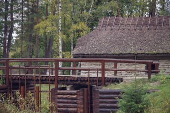 Piiriveere sibula ja kala päev 2018