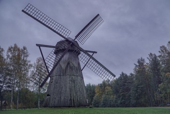 Piiriveere sibula ja kala päev 2018