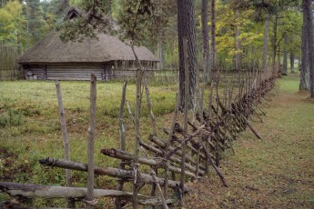 Piiriveere sibula ja kala päev 2018