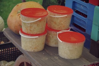 Piiriveere sibula ja kala päev 2018