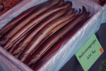 Piiriveere sibula ja kala päev 2018