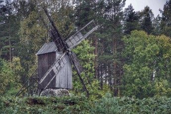 Piiriveere sibula ja kala päev 2018