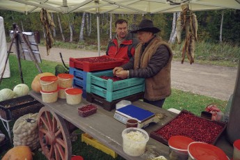Piiriveere sibula ja kala päev 2018