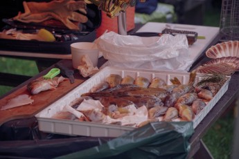 Piiriveere sibula ja kala päev 2018