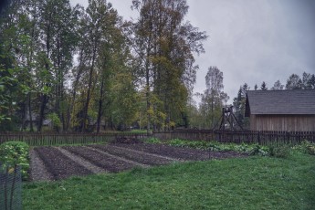 Piiriveere sibula ja kala päev 2018