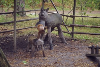 Piiriveere sibula ja kala päev 2018