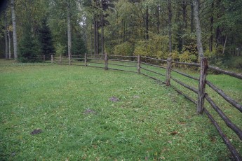 Piiriveere sibula ja kala päev 2018