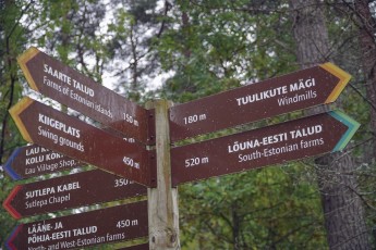 Piiriveere sibula ja kala päev 2018