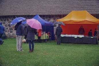 Piiriveere sibula ja kala päev 2018