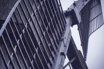 Piiriveere sibula ja kala päev 2018