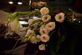 Kontsert "Jõuluingli puudutus"