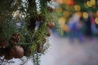 Tallinna jõuluturg 2018/2019